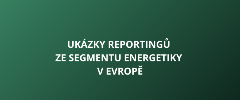 Ukázky reportingů ze segmentu energetiky v Evropě